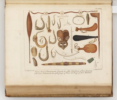 Various Kinds of Instruments, Utensils &c of the Inhabitants of New Zealand, Illustration from A Journal of a Voyage to the South Seas: In His Majesty